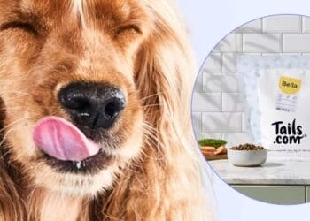 Gratisprobe bei Lancôme: Make-Up in Ihrem Ton auswählen