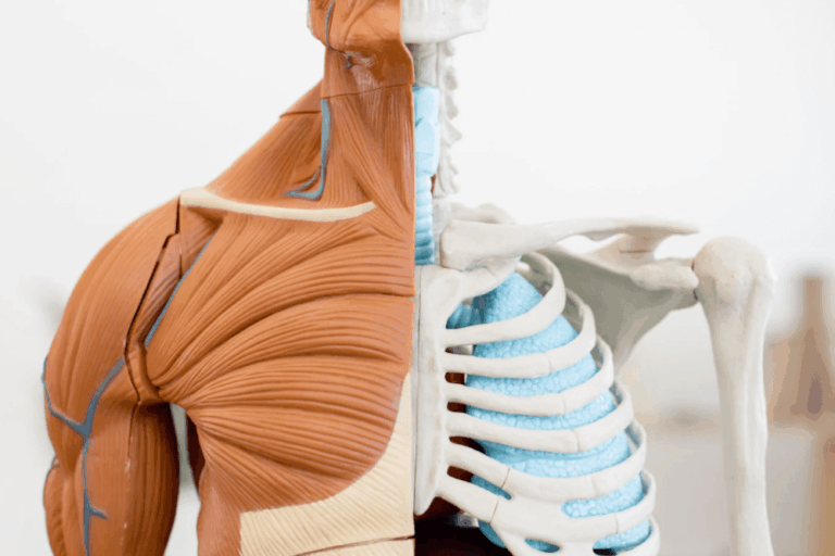 Methylsulfonylmethan Herkunft, Wirkung und Anwendung